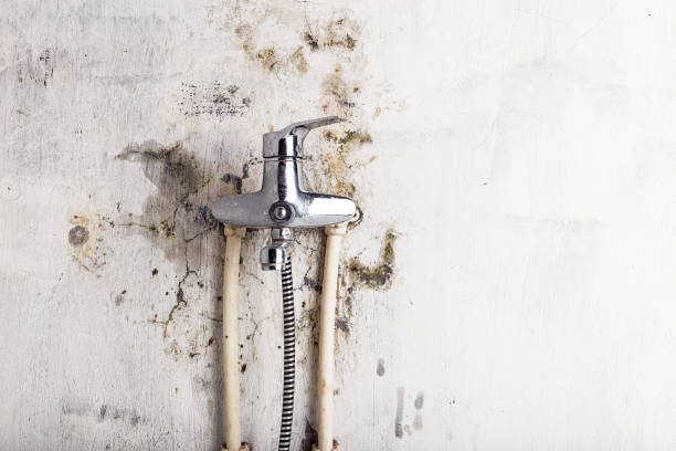 Best Mold Cleaning Services  in Mountain Lakes, NJ