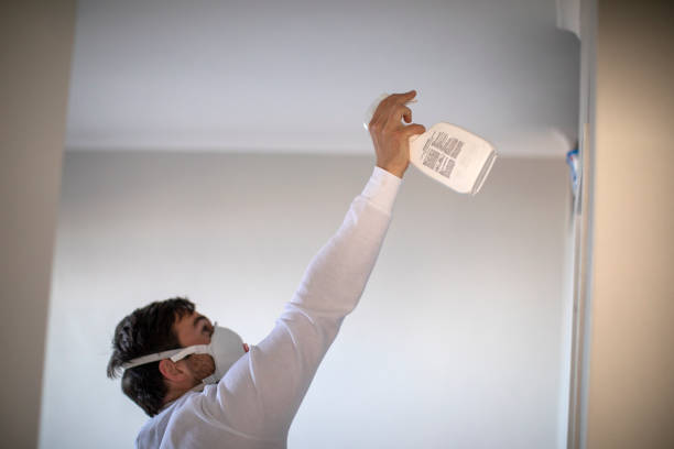 Best Office Mold Removal Services  in Mountain Lakes, NJ