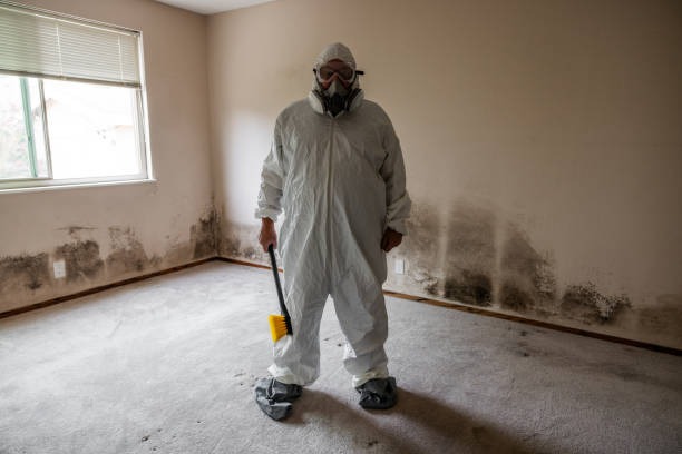 Best Attic Mold Removal  in Mountain Lakes, NJ